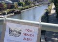 (Video) Mystery Continues to Surround Venice Canal Dog Deaths, Health Officials Investigate
